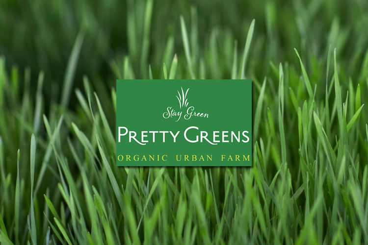 Pretty Greens Urban Farm Spain
